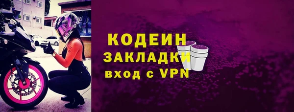 крисы Кодинск
