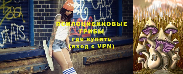 а пвп мука Козельск
